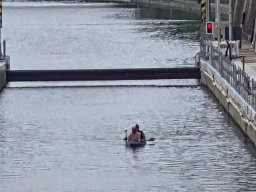 Mainschwimmen Juni 2026